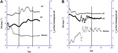 Micro-Bioreactors in Space: Case Study of a Yeast (Saccharomyces cerevisiae) Bioreactor With a Non-Invasive Monitoring Method